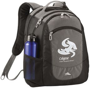 High Sierra® Fly-By Backpack